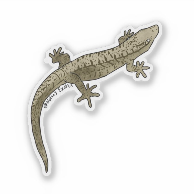 Mourning gecko vinyl sticker (Front)