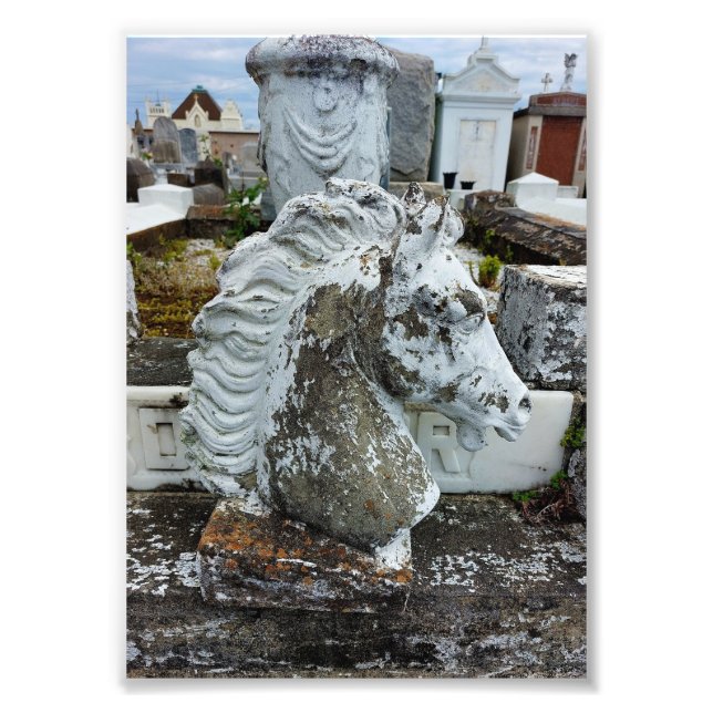 Mourning Horse Photo Print (Front)