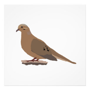 Mourning, Love or Turtle Dove Digitally Drawn Bird Photo Print