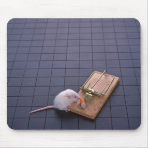 Mouse and trap pad