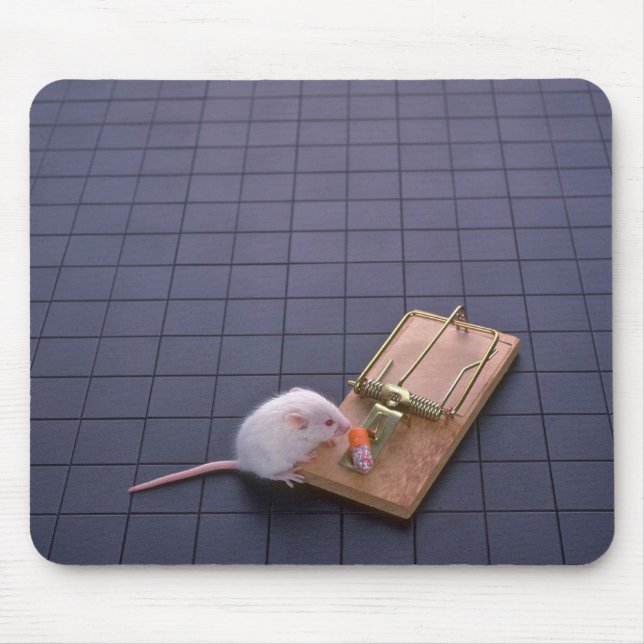 Mouse and trap pad (Front)