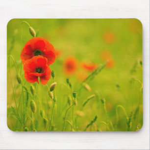 Mouse carpets, spring and poppy flowers pad