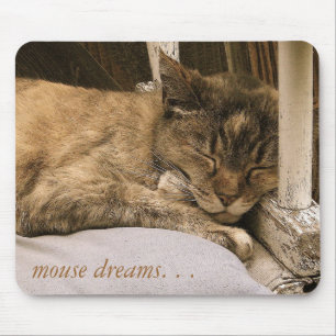mouse dreams. . . mouse pad