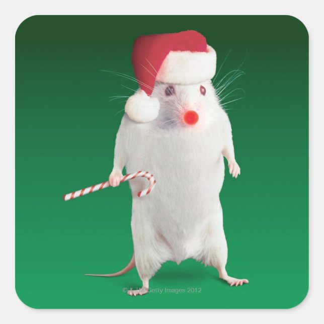 Mouse dressed as Santa Claus Square Sticker (Front)