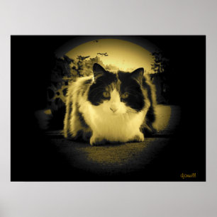 Mouse eye view poster