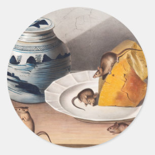 Mouse (Mus-musculus) Illustration Classic Round Sticker