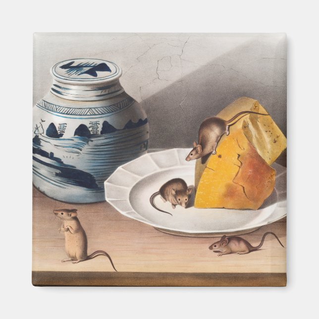 Mouse (Mus-musculus) Illustration Magnet (Front)