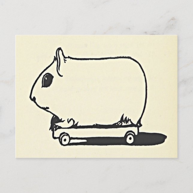 Mouse On a Skateboard Fun Greetings Birthday Card (Front)