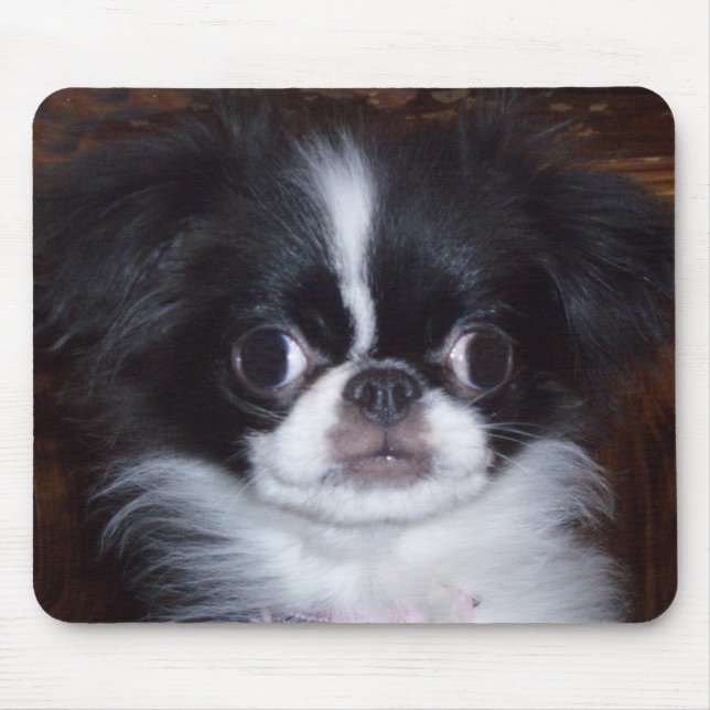 Mouse Pad (Front)