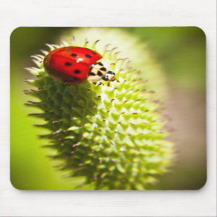 Mouse Pad