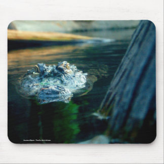 Mouse Pad American Alligator - Photo By: John A...