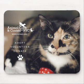 Mouse Pad "Calico"