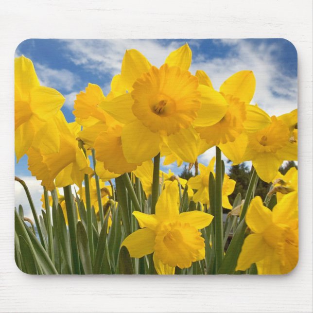 Mouse Pad-Daffodils Mouse Pad (Front)
