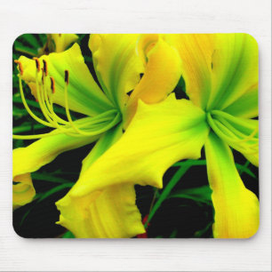 Mouse Pad: Daylily Pad