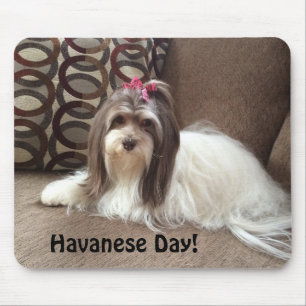Mouse Pad for Havanese Dog Lovers: Havanese Day!