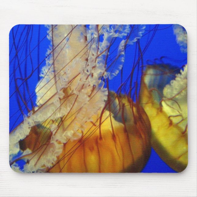 Mouse Pad - Jellyfish (Front)