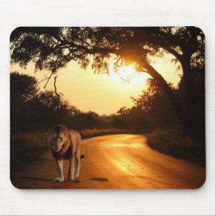 Mouse Pad Lion on the Road in Africa