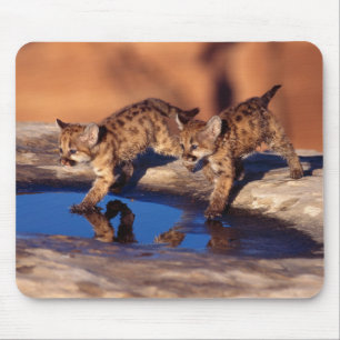 Mouse Pad-Mountain Lion Cubs Mouse Pad