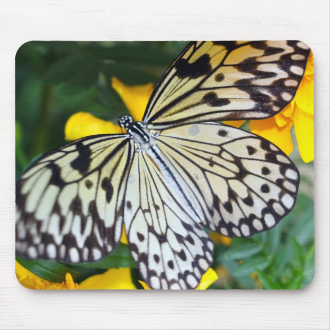 Mouse Pad/Paperkite Pad (Front)