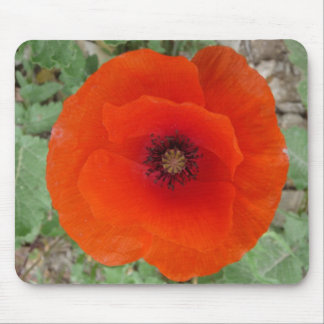Mouse Pad. Poppy (Poppy) Pad