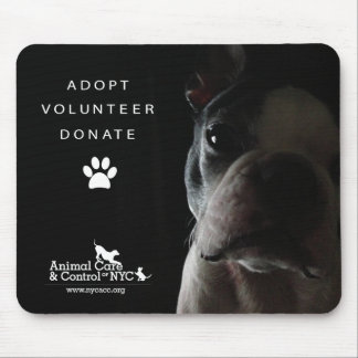 Mouse Pad "Quietly watching"