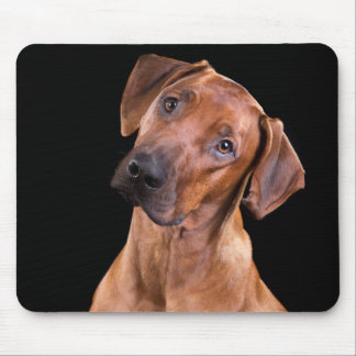 Mouse Pad RR