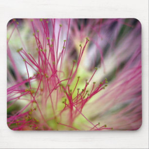 Mouse Pad - Silk Tree Blossom (Mimosa Tree)