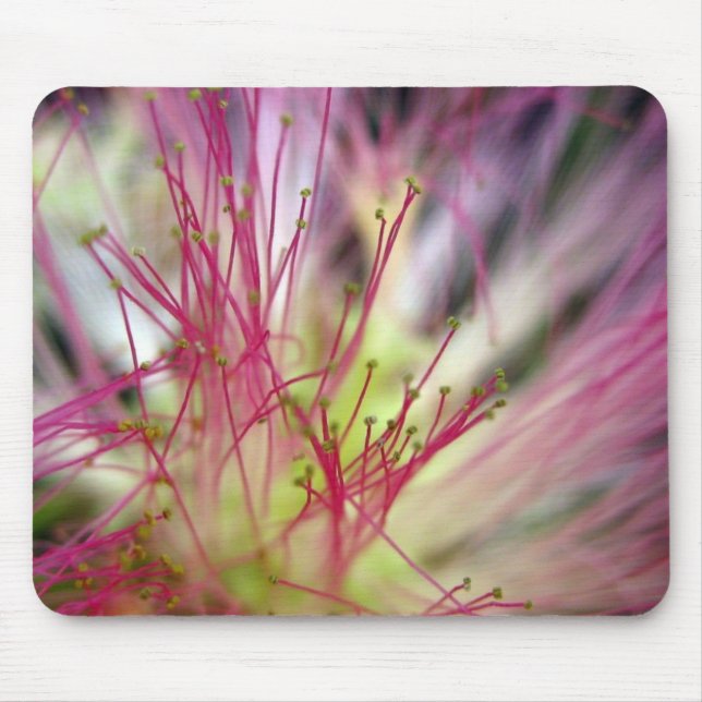 Mouse Pad - Silk Tree Blossom (Mimosa Tree) (Front)