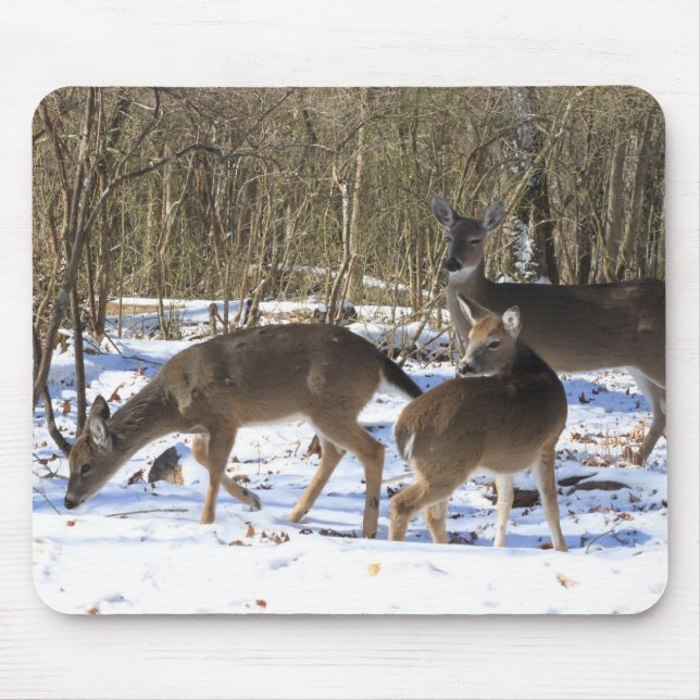 Mouse Pad - Whitetail Deer (Front)