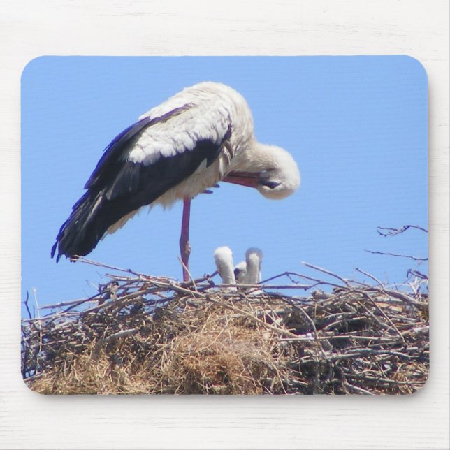 Mouse pad with birds (Front)