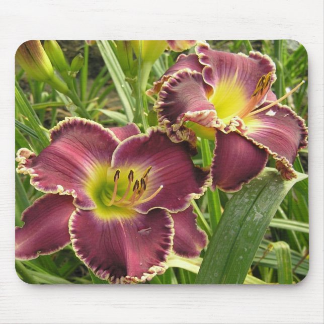 Mouse Pad with Pair of Purple Daylilies (Front)