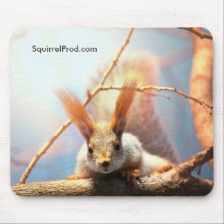 Mouse Pad with Squirrel