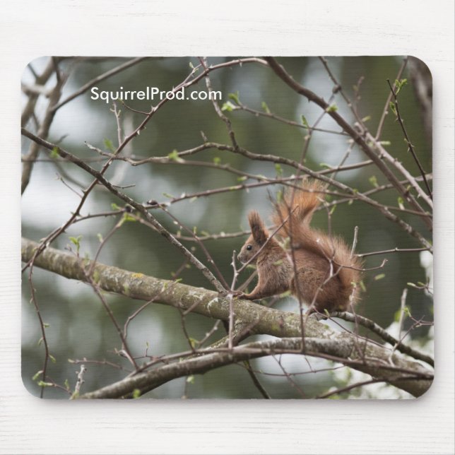 Mouse Pad with Squirrel (Front)
