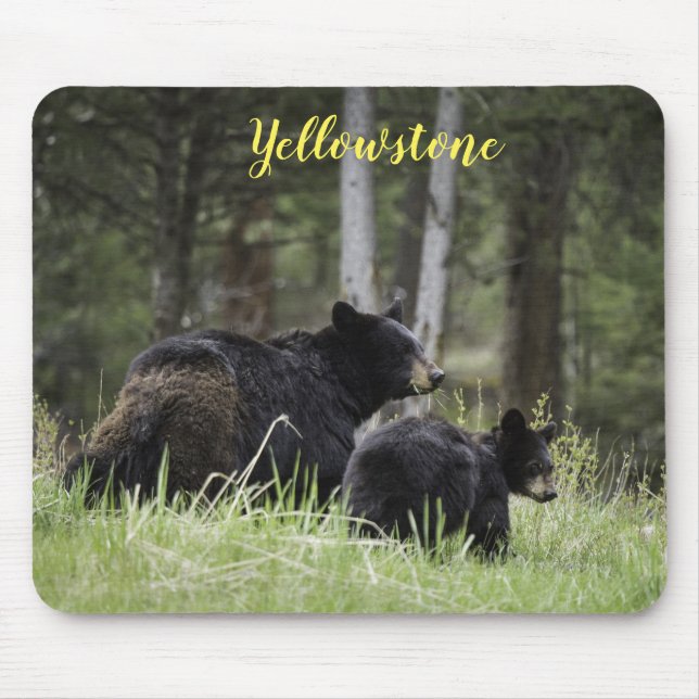 Mouse Pad-Yellowstone Bear Pad (Front)