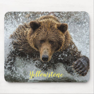 Mouse Pad-Yellowstone Bear Pad