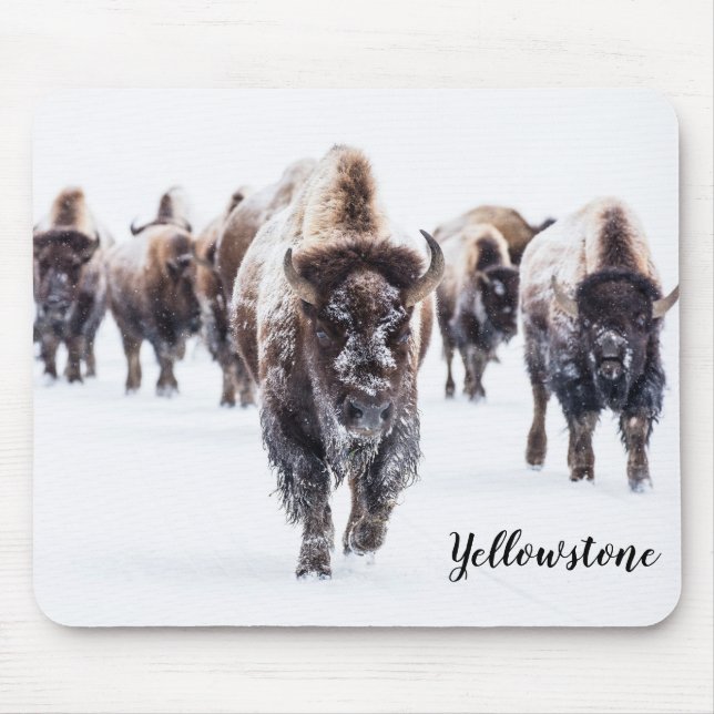 Mouse Pad-Yellowstone Buffalo Mouse Pad (Front)