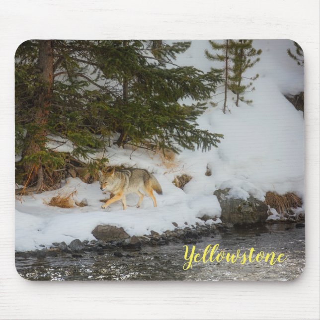 Mouse Pad-Yellowstone Coyote Pad (Front)