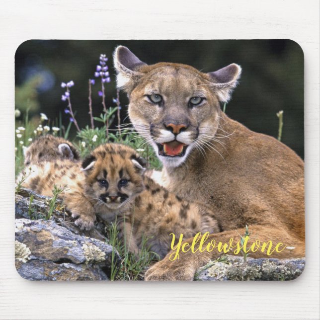 Mouse Pad-Yellowstone Mountain Lion Pad (Front)