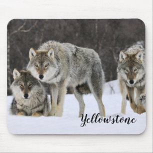 Mouse Pad-Yellowstone Wolves Pad