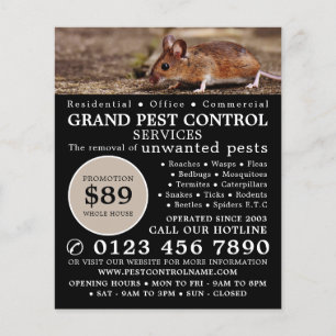 Mouse, Pest Control Advertising Flyer
