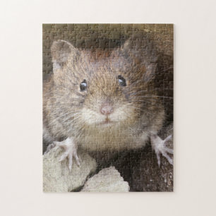 Mouse Portrait Jigsaw Puzzle