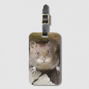 Mouse Portrait Luggage Tag