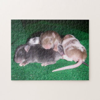 Mouse Puzzle: 4 Baby Mice Jigsaw Puzzle