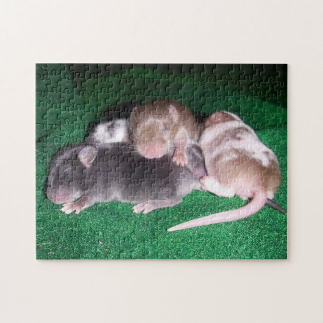 Mouse Puzzle:  4 Baby Mice Jigsaw Puzzle (Horizontal)
