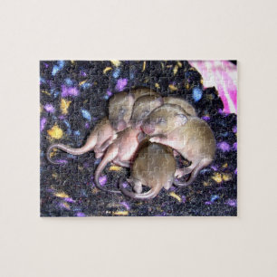 Mouse Puzzle: Baby Agouti Mice Jigsaw Puzzle