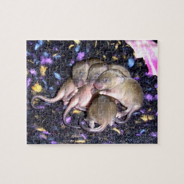 Mouse Puzzle:  Baby Agouti Mice Jigsaw Puzzle (Horizontal)