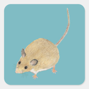 Mouse Square Sticker