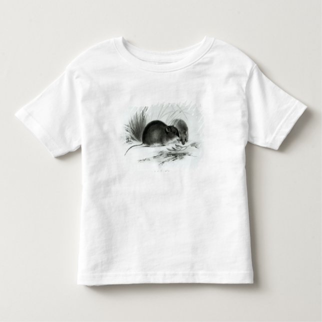Mouse, Tierra del Fuego, South America c.1832-36 Toddler T-Shirt (Front)
