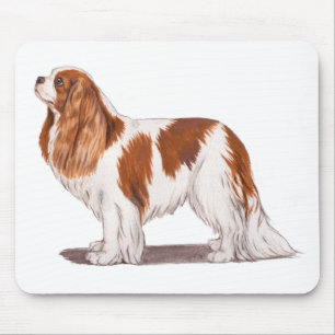 Mousemat : cavalier king charles spaniel