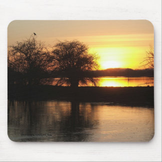 Mousemat - Floods at Tewkesbury 2008